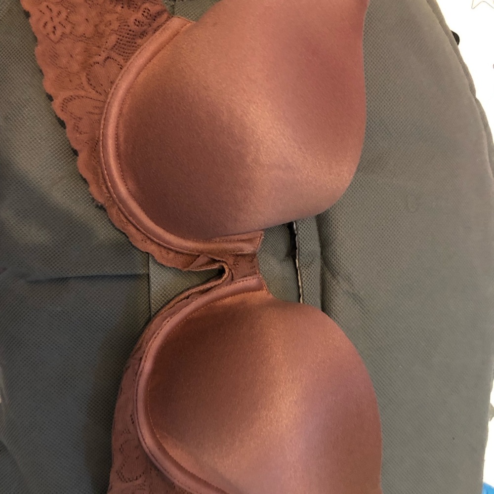 Bra American eagle